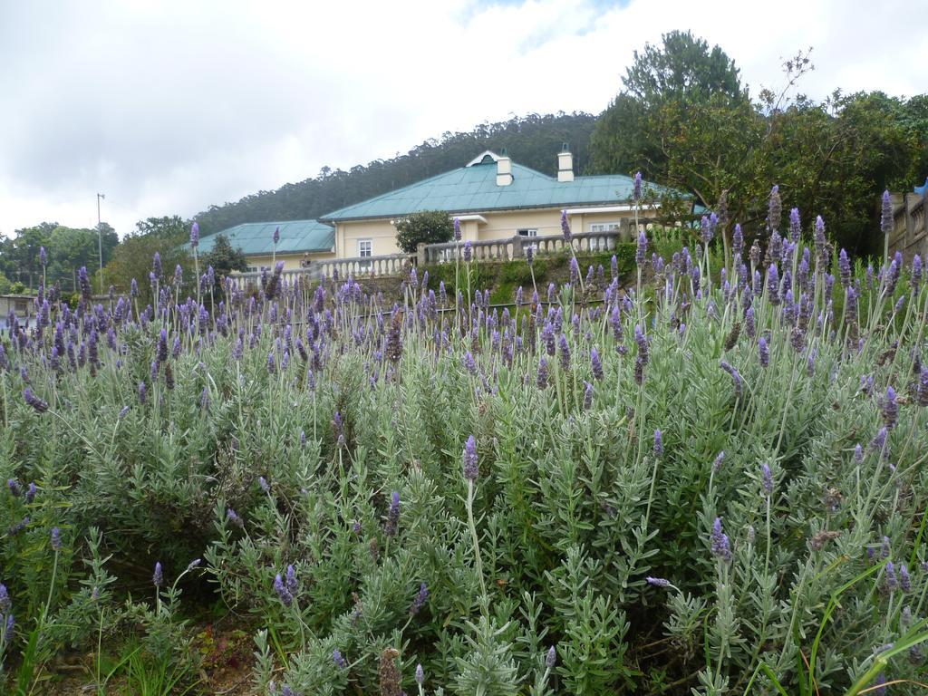 Senani Colonial Holiday Bungalow Nuwara Eliya Habitación foto